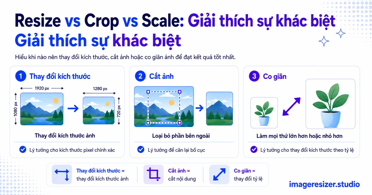 Resize vs Crop vs Scale: Giải thích sự khác biệt